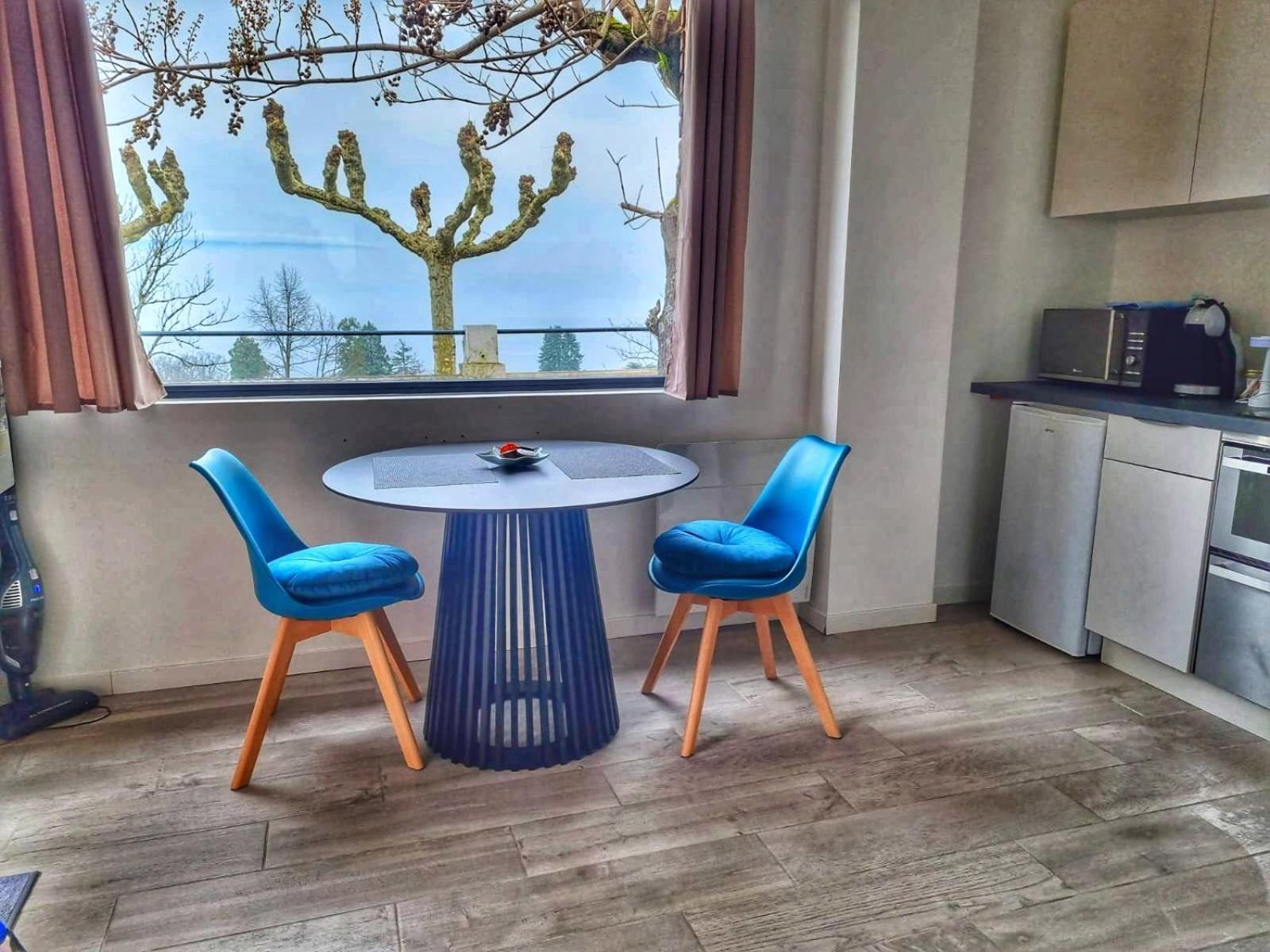 Vue Leman Appartement *